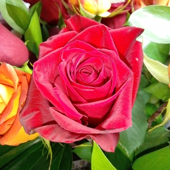 Meet your Posher, Tina - Picture 4 of 5